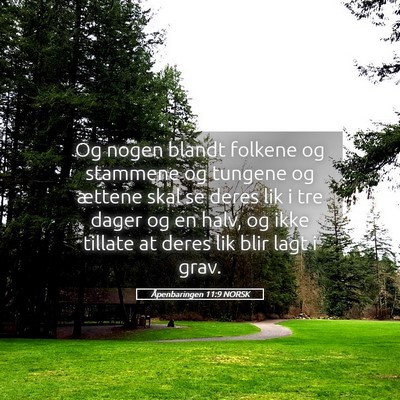 Picture 05 - Åpenbaringen 11:9 NORSK - Og nogen blandt folkene og stammene og tungene og - Bible Verse Picture