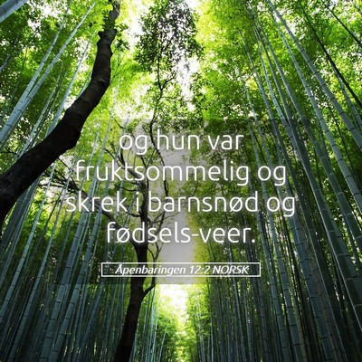 Picture 05 - Åpenbaringen 12:2 NORSK - og hun var fruktsommelig og skrek i barnsnød og - Bible Verse Picture