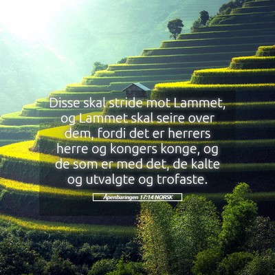 Picture 05 - Åpenbaringen 17:14 NORSK - Disse skal stride mot Lammet, og Lammet skal - Bible Verse Picture