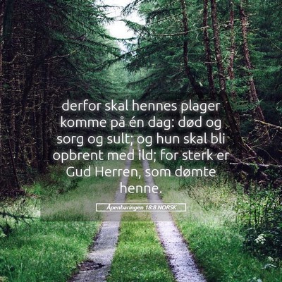 Picture 05 - Åpenbaringen 18:8 NORSK - derfor skal hennes plager komme på én dag: død - Bible Verse Picture