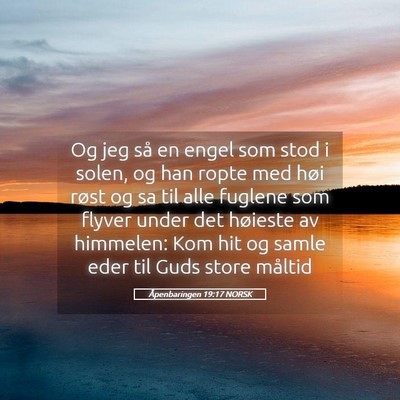 Picture 05 - Åpenbaringen 19:17 NORSK - Og jeg så en engel som stod i solen, og han - Bible Verse Picture