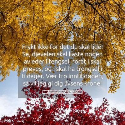 Picture 05 - Åpenbaringen 2:10 NORSK - Frykt ikke for det du skal lide! Se, djevelen - Bible Verse Picture