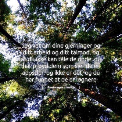 Picture 05 - Åpenbaringen 2:2 NORSK - Jeg vet om dine gjerninger og ditt arbeid og ditt - Bible Verse Picture