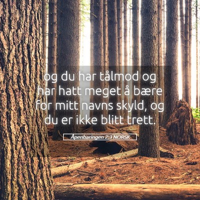 Picture 05 - Åpenbaringen 2:3 NORSK - og du har tålmod og har hatt meget å bære for - Bible Verse Picture