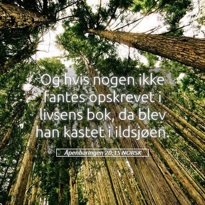 Picture 05 - Åpenbaringen 20:15 NORSK - Og hvis nogen ikke fantes opskrevet i livsens - Bible Verse Picture