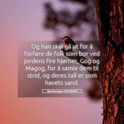 Picture 05 - Åpenbaringen 20:8 NORSK - Og han skal gå ut for å forføre de folk som - Bible Verse Picture