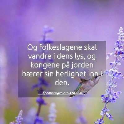 Picture 05 - Åpenbaringen 21:24 NORSK - Og folkeslagene skal vandre i dens lys, og - Bible Verse Picture