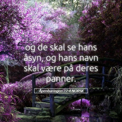 Picture 05 - Åpenbaringen 22:4 NORSK - og de skal se hans åsyn, og hans navn skal være - Bible Verse Picture