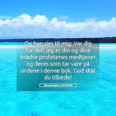 Picture 05 - Åpenbaringen 22:9 NORSK - Og han sier til mig: Var dig for det! jeg er din - Bible Verse Picture