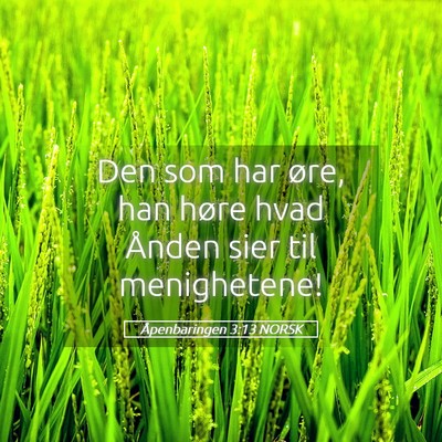 Picture 05 - Åpenbaringen 3:13 NORSK - Den som har øre, han høre hvad Ånden sier til - Bible Verse Picture
