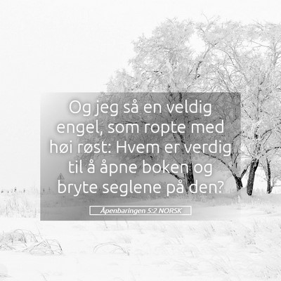 Picture 05 - Åpenbaringen 5:2 NORSK - Og jeg så en veldig engel, som ropte med høi - Bible Verse Picture
