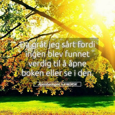 Picture 05 - Åpenbaringen 5:4 NORSK - Da gråt jeg sårt fordi ingen blev funnet verdig - Bible Verse Picture