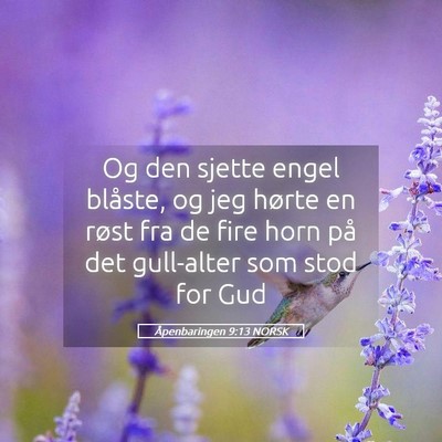 Picture 05 - Åpenbaringen 9:13 NORSK - Og den sjette engel blåste, og jeg hørte en - Bible Verse Picture