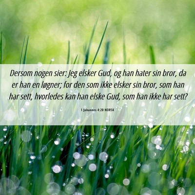 Picture 06 - 1 Johannes 4:20 NORSK - Dersom nogen sier: Jeg elsker Gud, og han hater - Bible Verse Picture
