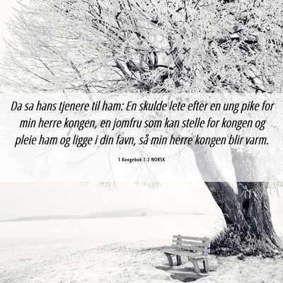 Picture 06 - 1 Kongebok 1:2 NORSK - Da sa hans tjenere til ham: En skulde lete efter - Bible Verse Picture