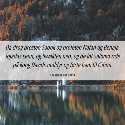Picture 06 - 1 Kongebok 1:38 NORSK - Da drog presten Sadok og profeten Natan og - Bible Verse Picture
