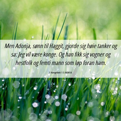 Picture 06 - 1 Kongebok 1:5 NORSK - Men Adonja, sønn til Haggit, gjorde sig høie - Bible Verse Picture