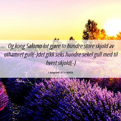 Picture 06 - 1 Kongebok 10:16 NORSK - Og kong Salomo lot gjøre to hundre store skjold - Bible Verse Picture