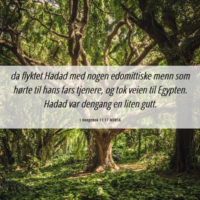 Picture 06 - 1 Kongebok 11:17 NORSK - da flyktet Hadad med nogen edomittiske menn som - Bible Verse Picture