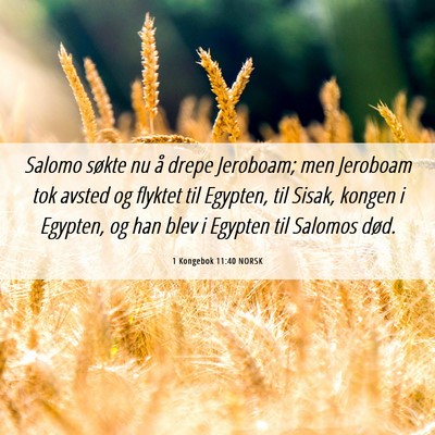 Picture 06 - 1 Kongebok 11:40 NORSK - Salomo søkte nu å drepe Jeroboam; men Jeroboam - Bible Verse Picture