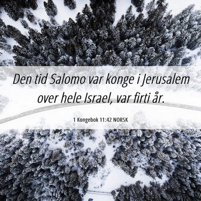Picture 06 - 1 Kongebok 11:42 NORSK - Den tid Salomo var konge i Jerusalem over hele - Bible Verse Picture