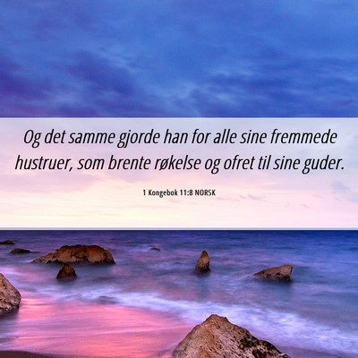 Picture 06 - 1 Kongebok 11:8 NORSK - Og det samme gjorde han for alle sine fremmede - Bible Verse Picture