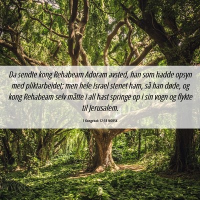 Picture 06 - 1 Kongebok 12:18 NORSK - Da sendte kong Rehabeam Adoram avsted, han som - Bible Verse Picture