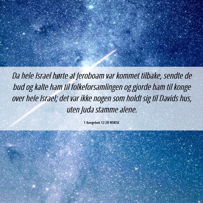 Picture 06 - 1 Kongebok 12:20 NORSK - Da hele Israel hørte at Jeroboam var kommet - Bible Verse Picture
