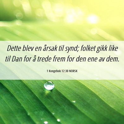 Picture 06 - 1 Kongebok 12:30 NORSK - Dette blev en årsak til synd; folket gikk like - Bible Verse Picture