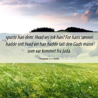 Picture 06 - 1 Kongebok 13:12 NORSK - spurte han dem: Hvad vei tok han? For hans - Bible Verse Picture
