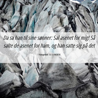 Picture 06 - 1 Kongebok 13:13 NORSK - Da sa han til sine sønner: Sal asenet for mig! - Bible Verse Picture