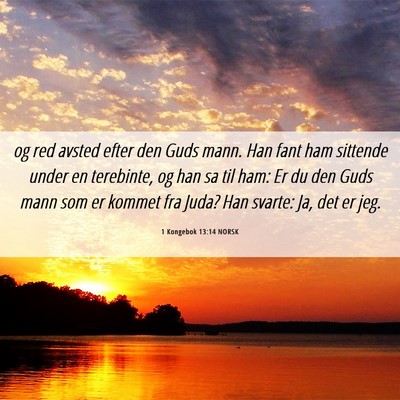 Picture 06 - 1 Kongebok 13:14 NORSK - og red avsted efter den Guds mann. Han fant ham - Bible Verse Picture