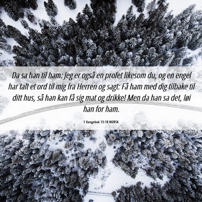 Picture 06 - 1 Kongebok 13:18 NORSK - Da sa han til ham: Jeg er også en profet likesom - Bible Verse Picture