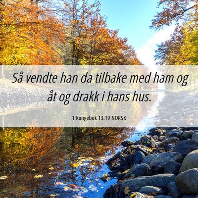 Picture 06 - 1 Kongebok 13:19 NORSK - Så vendte han da tilbake med ham og åt og drakk - Bible Verse Picture