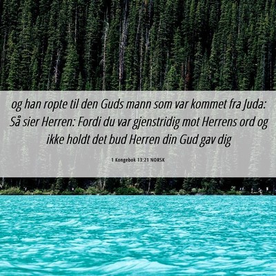Picture 06 - 1 Kongebok 13:21 NORSK - og han ropte til den Guds mann som var kommet fra - Bible Verse Picture