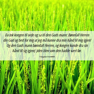 Picture 06 - 1 Kongebok 13:6 NORSK - Da tok kongen til orde og sa til den Guds mann: - Bible Verse Picture
