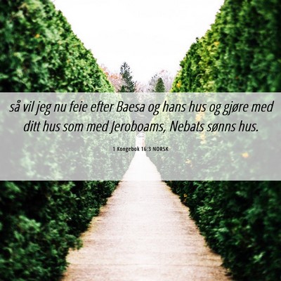 Picture 06 - 1 Kongebok 16:3 NORSK - så vil jeg nu feie efter Baesa og hans hus og - Bible Verse Picture