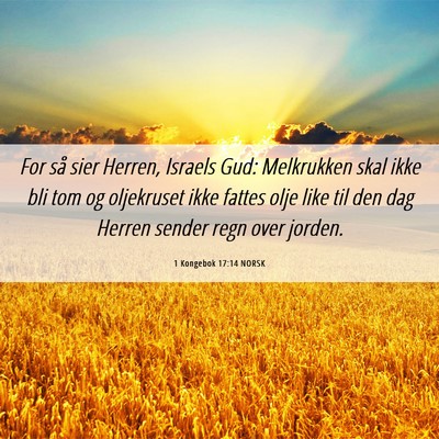 Picture 06 - 1 Kongebok 17:14 NORSK - For så sier Herren, Israels Gud: Melkrukken skal - Bible Verse Picture