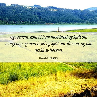 Picture 06 - 1 Kongebok 17:6 NORSK - og ravnene kom til ham med brød og kjøtt om - Bible Verse Picture