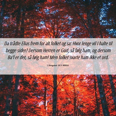 Picture 06 - 1 Kongebok 18:21 NORSK - Da trådte Elias frem for alt folket og sa: Hvor - Bible Verse Picture