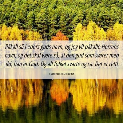 Picture 06 - 1 Kongebok 18:24 NORSK - Påkall så I eders guds navn, og jeg vil - Bible Verse Picture