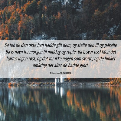 Picture 06 - 1 Kongebok 18:26 NORSK - Sa tok de den okse han hadde gitt dem, og stelte - Bible Verse Picture