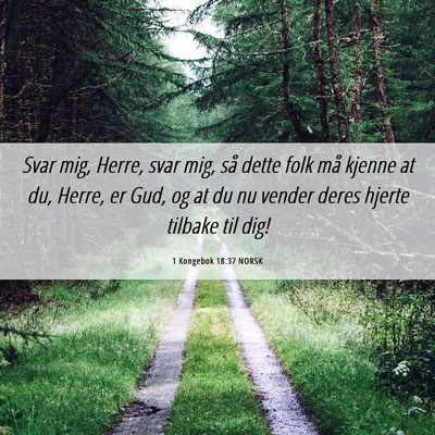 Picture 06 - 1 Kongebok 18:37 NORSK - Svar mig, Herre, svar mig, så dette folk må - Bible Verse Picture