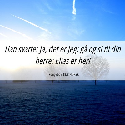 Picture 06 - 1 Kongebok 18:8 NORSK - Han svarte: Ja, det er jeg; gå og si til din - Bible Verse Picture