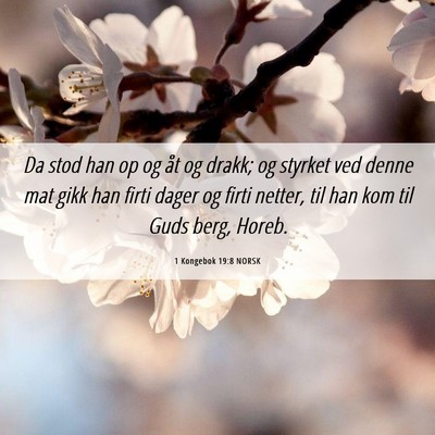 Picture 06 - 1 Kongebok 19:8 NORSK - Da stod han op og åt og drakk; og styrket ved - Bible Verse Picture