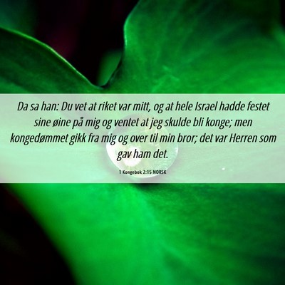 Picture 06 - 1 Kongebok 2:15 NORSK - Da sa han: Du vet at riket var mitt, og at hele - Bible Verse Picture