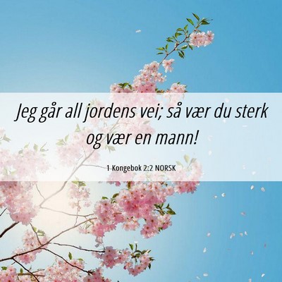 Picture 06 - 1 Kongebok 2:2 NORSK - Jeg går all jordens vei; så vær du sterk og - Bible Verse Picture