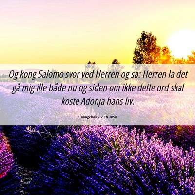 Picture 06 - 1 Kongebok 2:23 NORSK - Og kong Salomo svor ved Herren og sa: Herren la - Bible Verse Picture