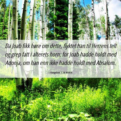 Picture 06 - 1 Kongebok 2:28 NORSK - Da Joab fikk høre om dette, flyktet han til - Bible Verse Picture