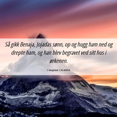 Picture 06 - 1 Kongebok 2:34 NORSK - Så gikk Benaja, Jojadas sønn, op og hugg ham - Bible Verse Picture